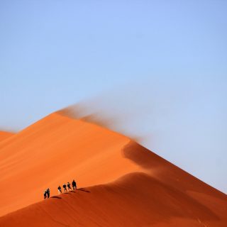 https://rosemoreeyecare.com/wp-content/uploads/2016/07/sunny-sand-desert-hiking-320x320.jpeg
